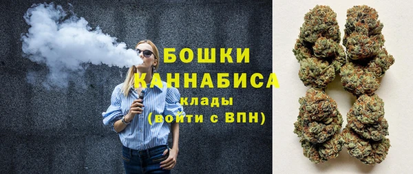 дмт Козельск