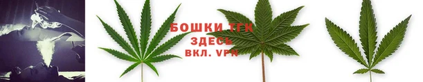 твердый Козловка