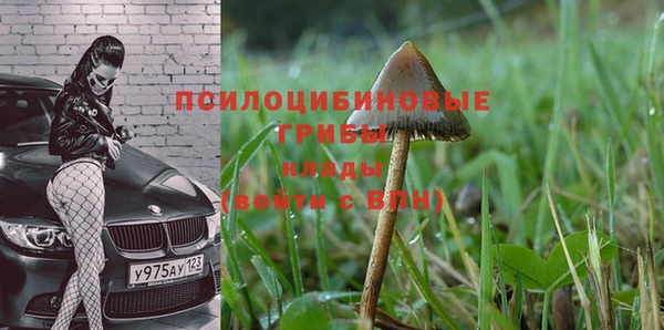 дмт Козельск