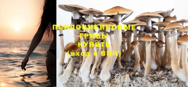 твердый Козловка