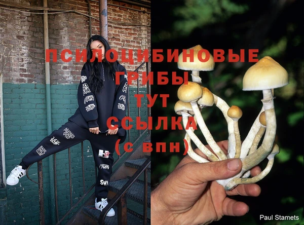 твердый Козловка