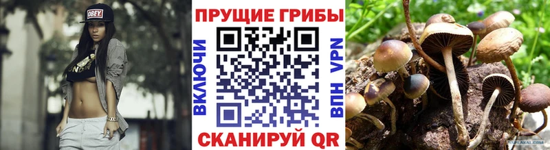 Купить  Нягань  Псилоцибиновые грибы мухоморы 
